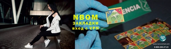 прущие грибы Абаза