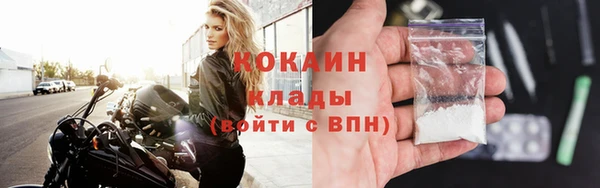прущие грибы Абаза