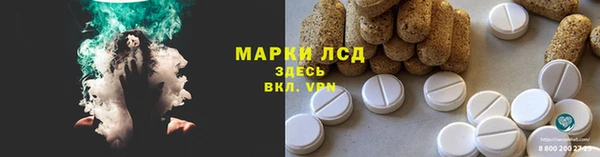 прущие грибы Абаза