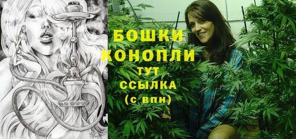 прущие грибы Абаза