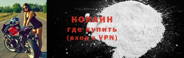 прущие грибы Абаза
