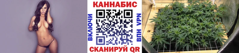 hydra ССЫЛКА  Киренск  Каннабис сатива 